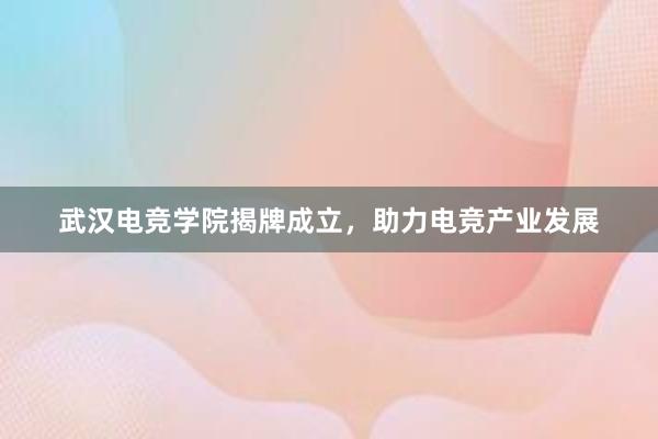 武汉电竞学院揭牌成立，助力电竞产业发展
